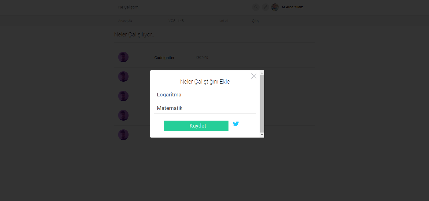 Ne Çalıştım gallery image