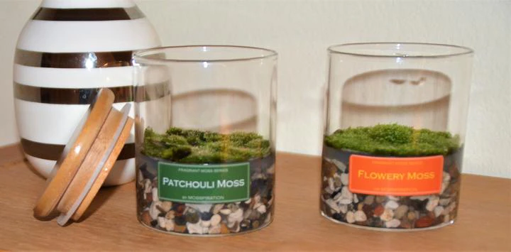 Fragrant Moss New glass with wooden lid