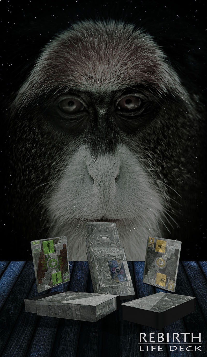 Rebirth gallery image