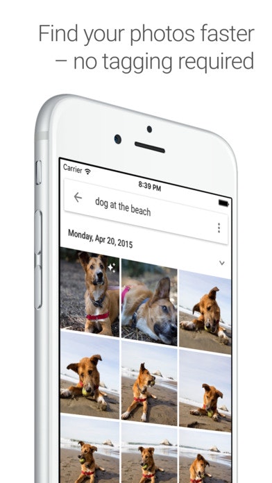 Google Photos 2.0 gallery image