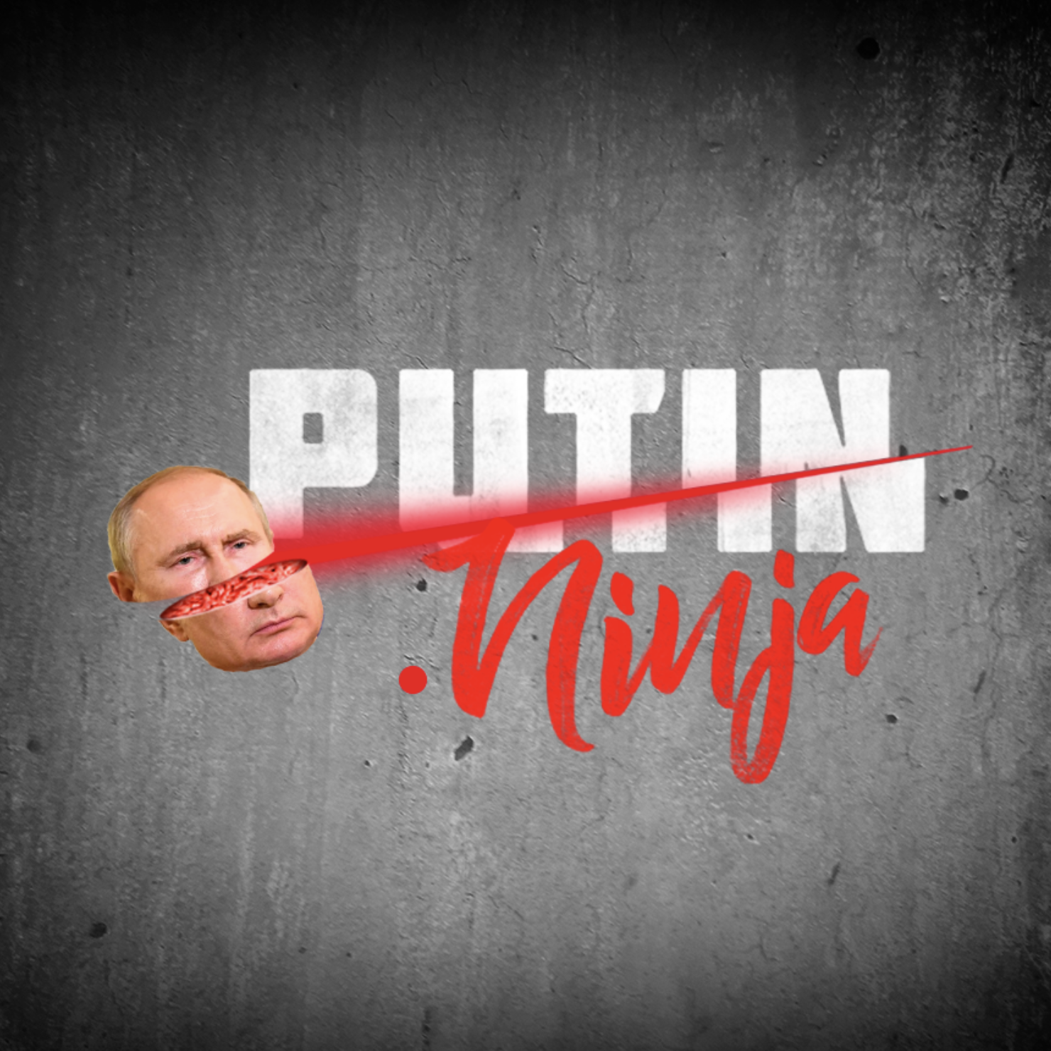 PUTIN.NINJA
