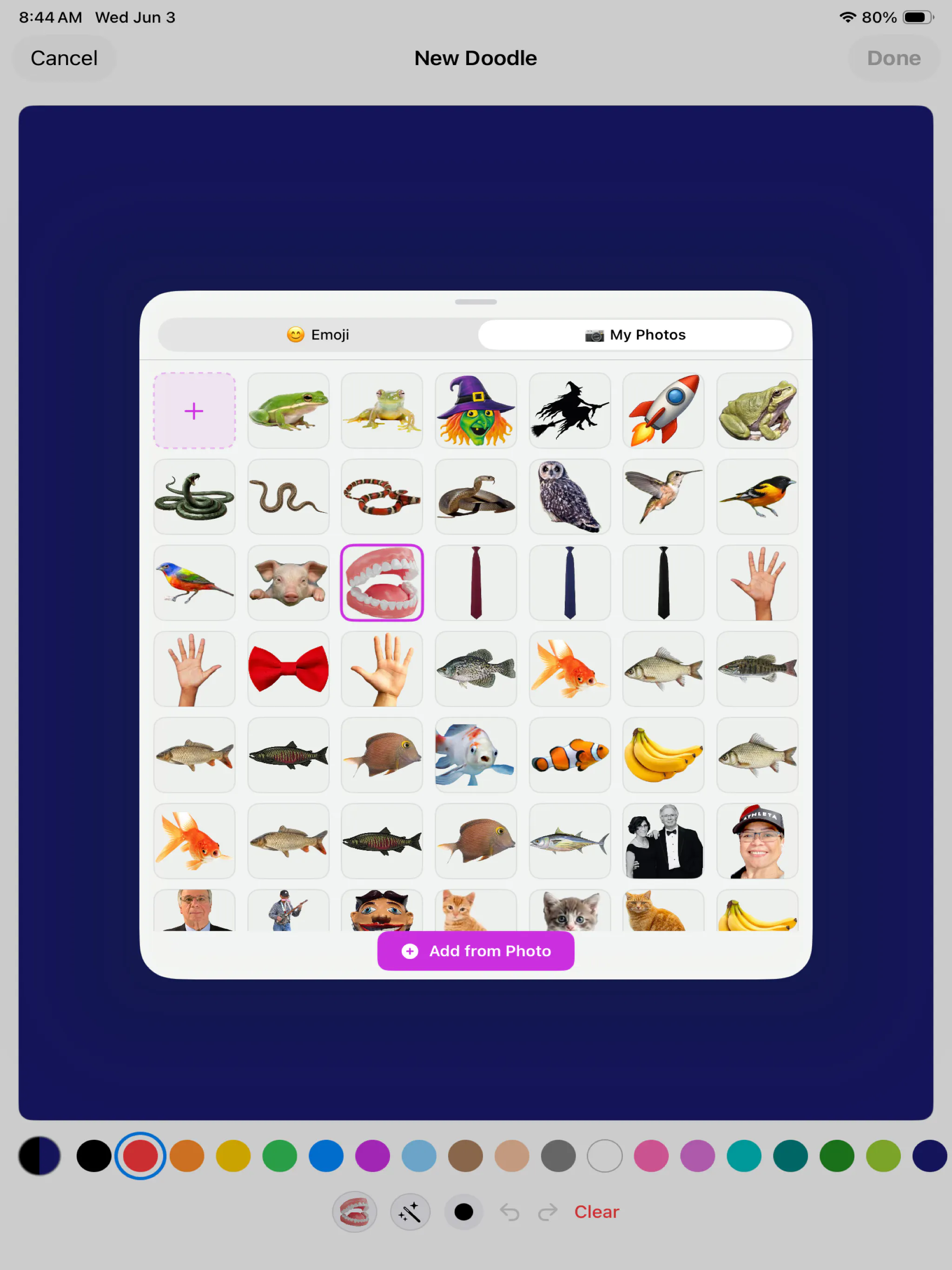 Screenshot 4