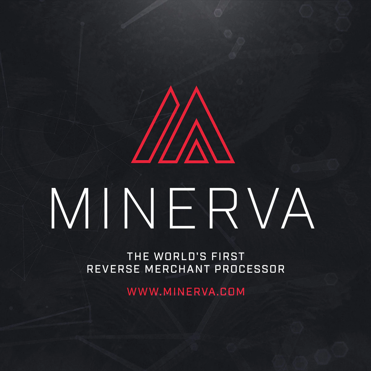Minerva - The world's first reverse merchant processor