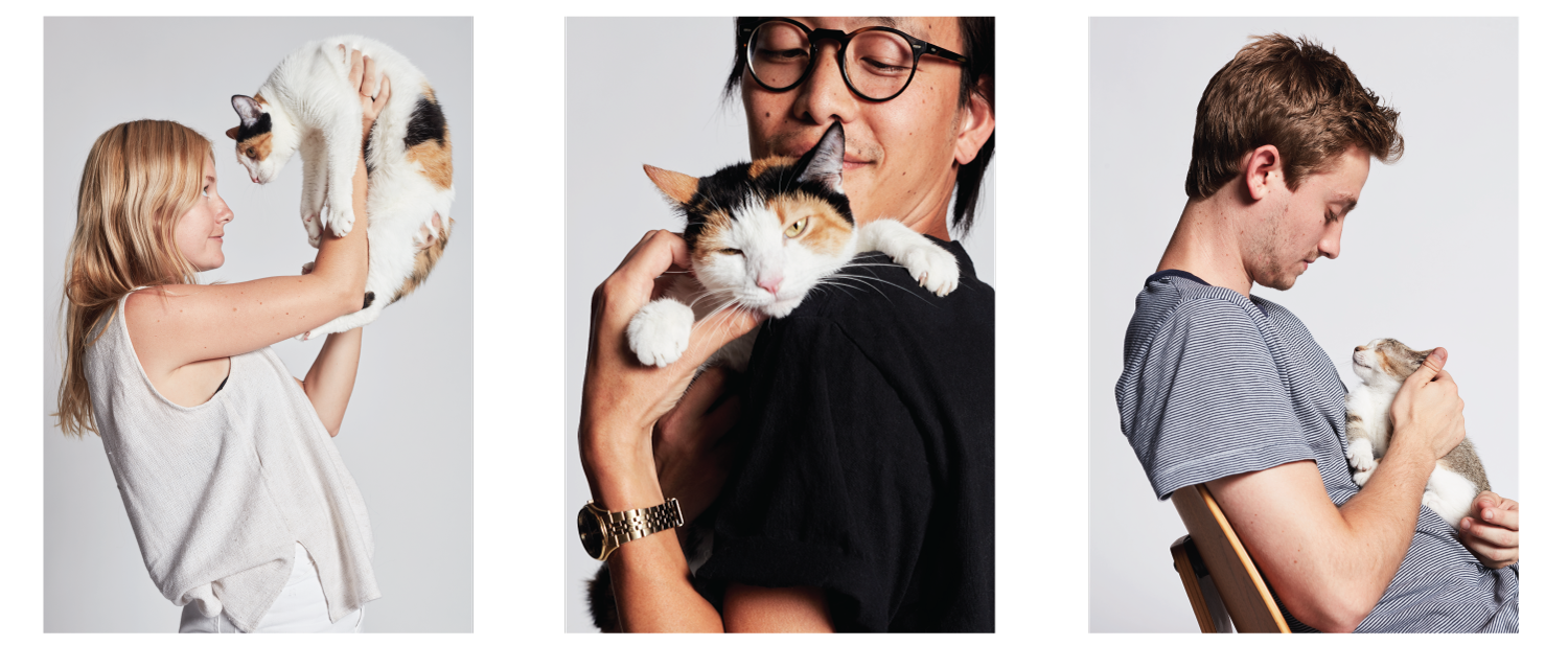 Smalls: Food for Cats gallery image