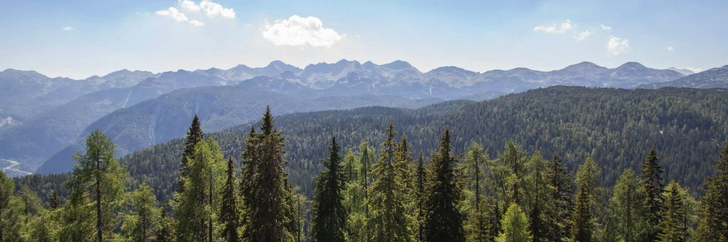 Carlos Yllobre cover