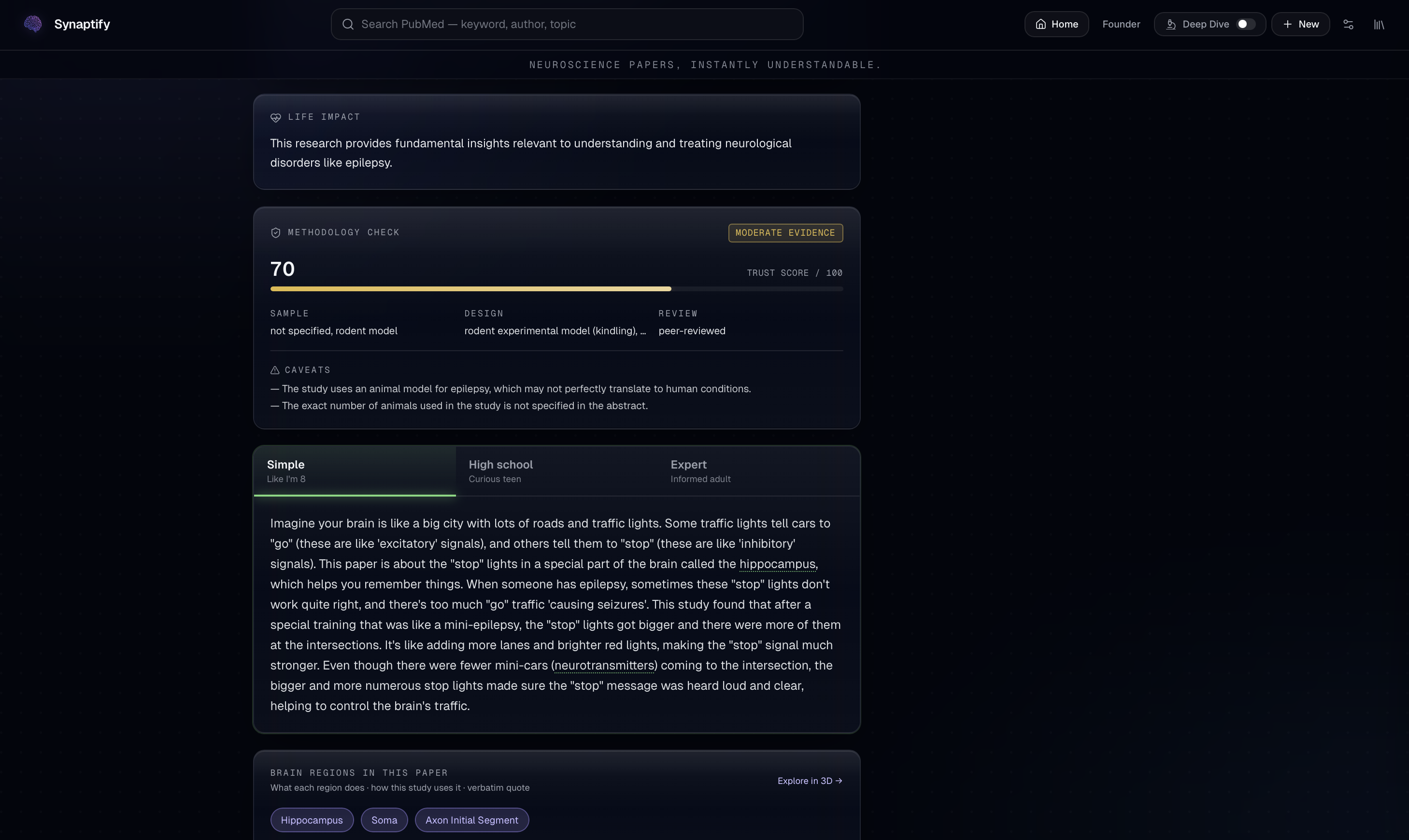 Synaptify gallery image