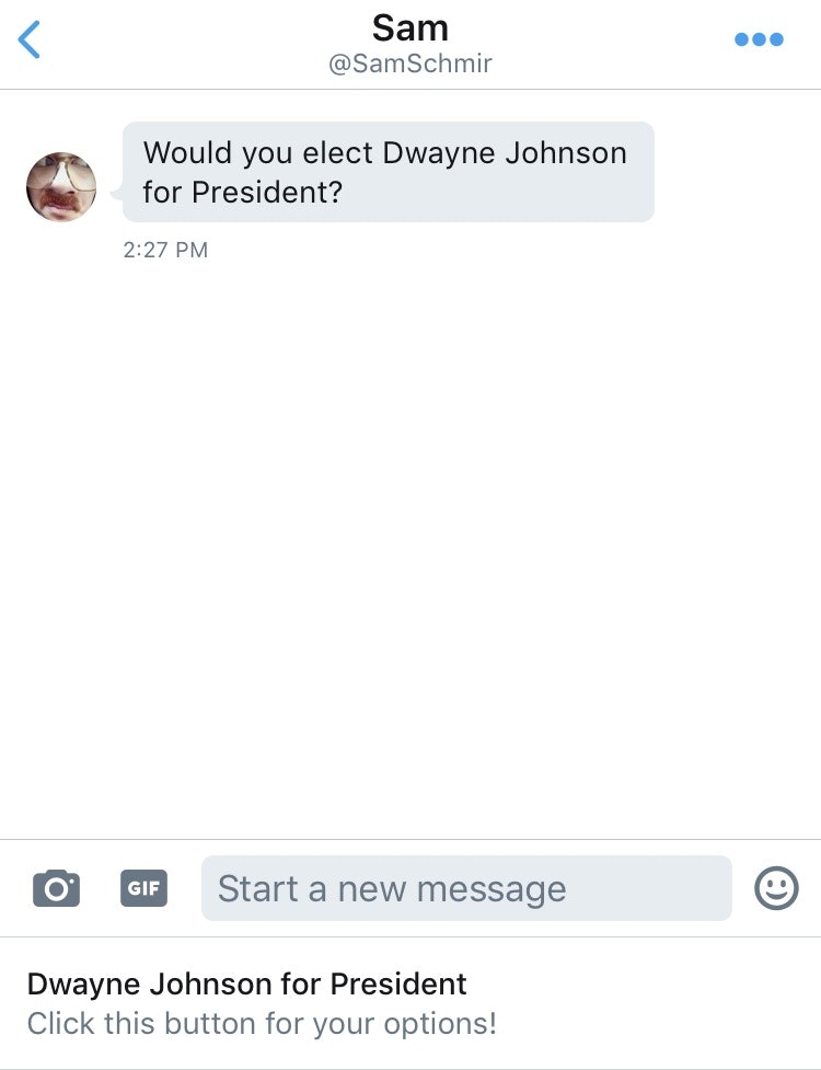 Dwayne Johnson for President? gallery image