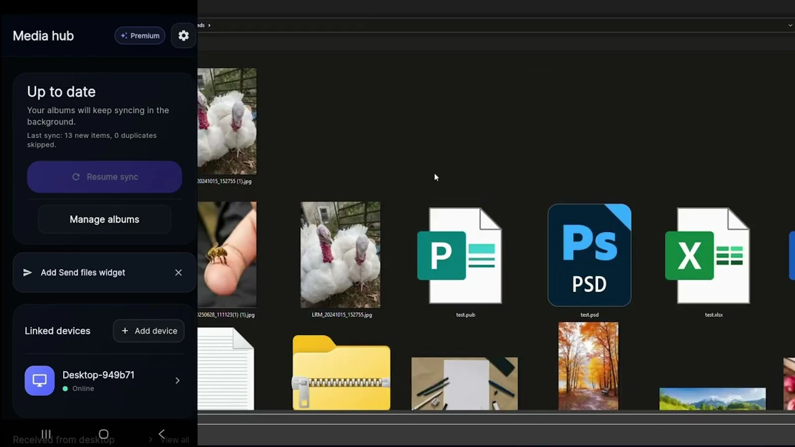 Simplesync screenshot 1 (video preview)