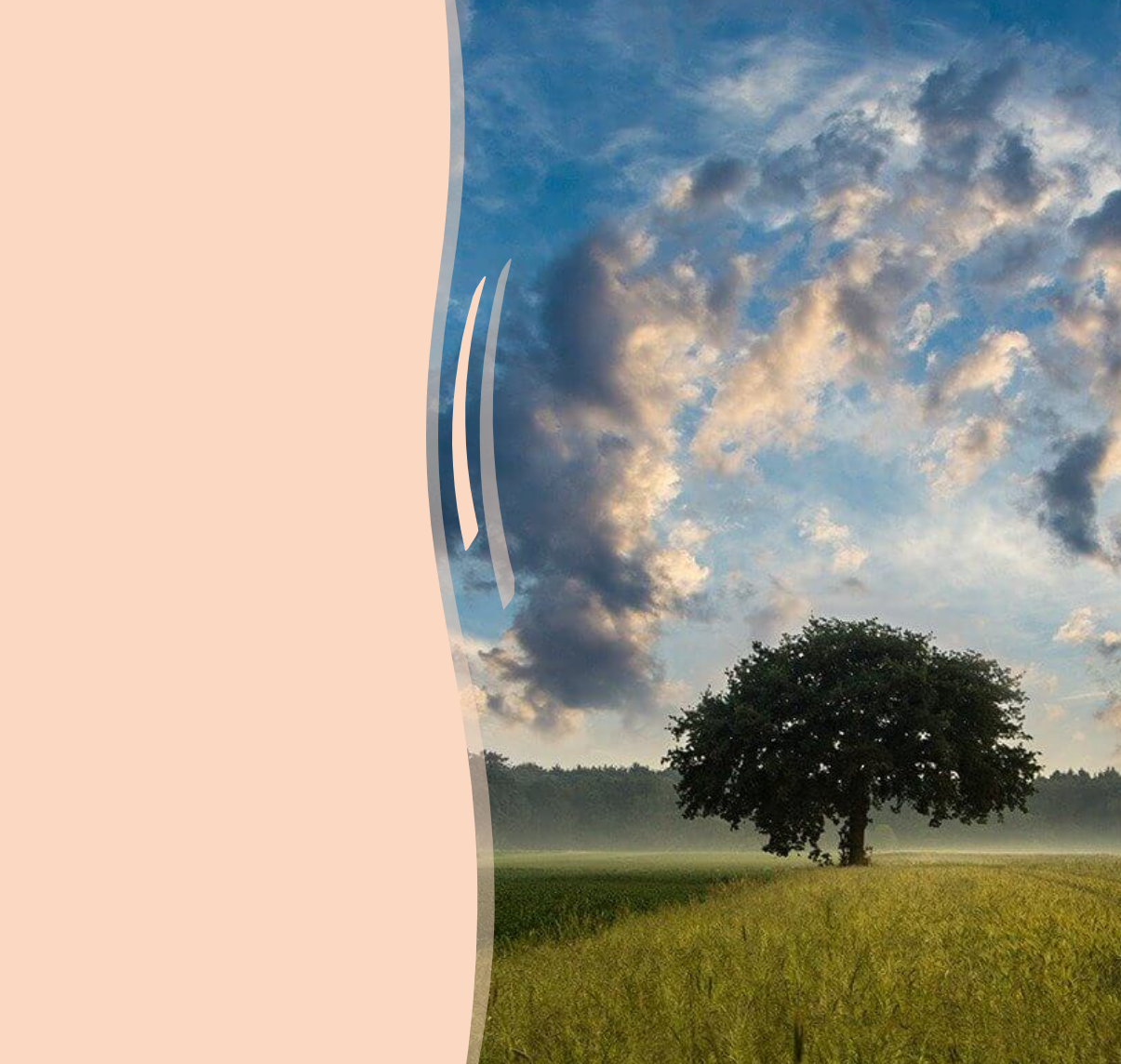 Shape Dividers CSS Generator gallery image