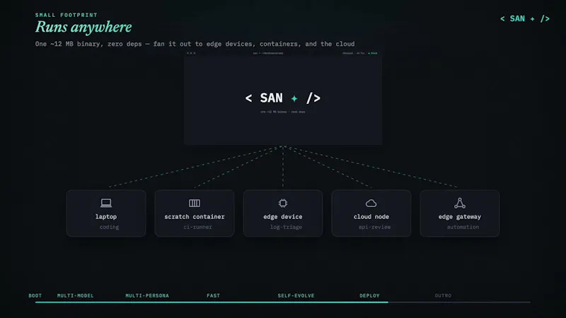 San screenshot 1 (video preview)