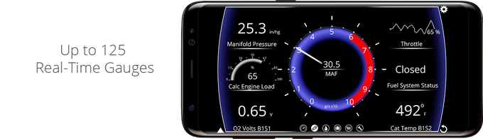 Kiwi 4 gallery image