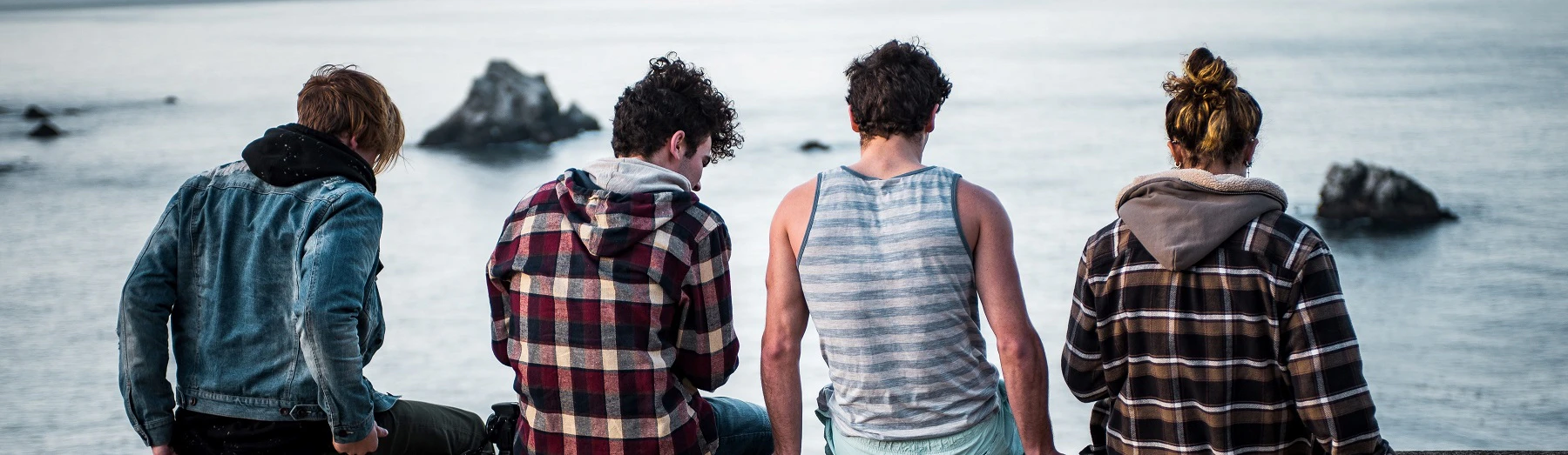 Flannel Clothing cover