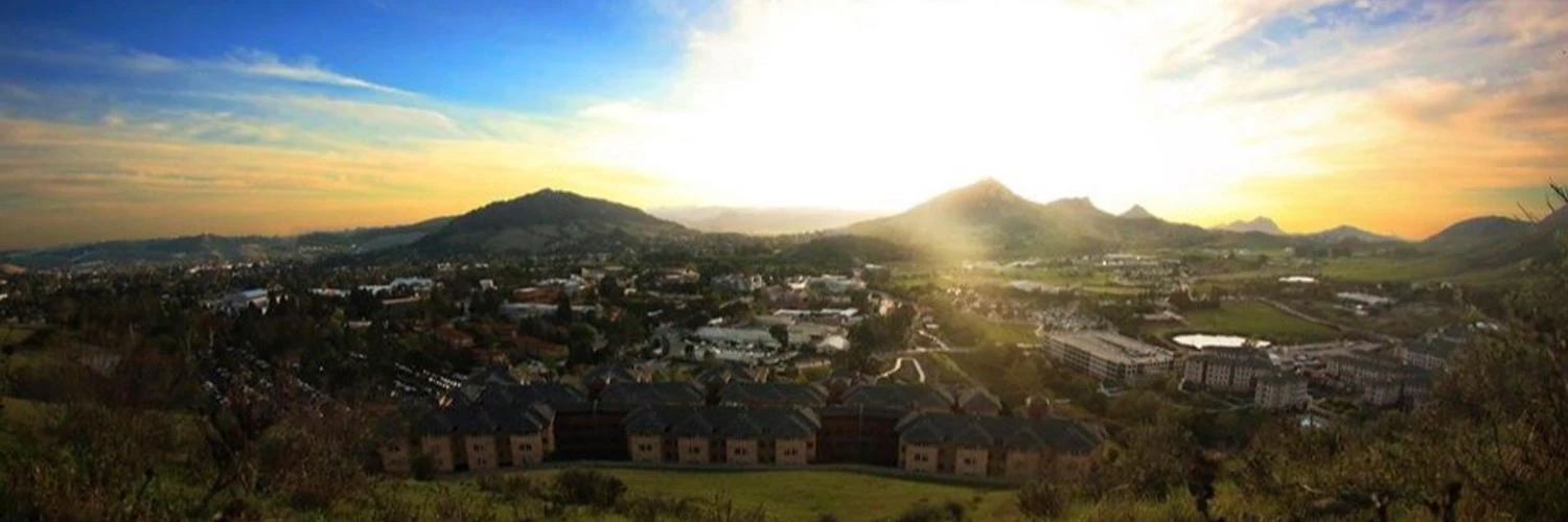 Daniel Pereira cover