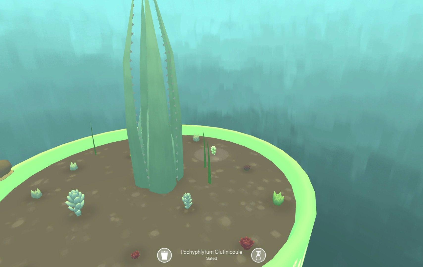 Viridi gallery image