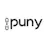 puny.io