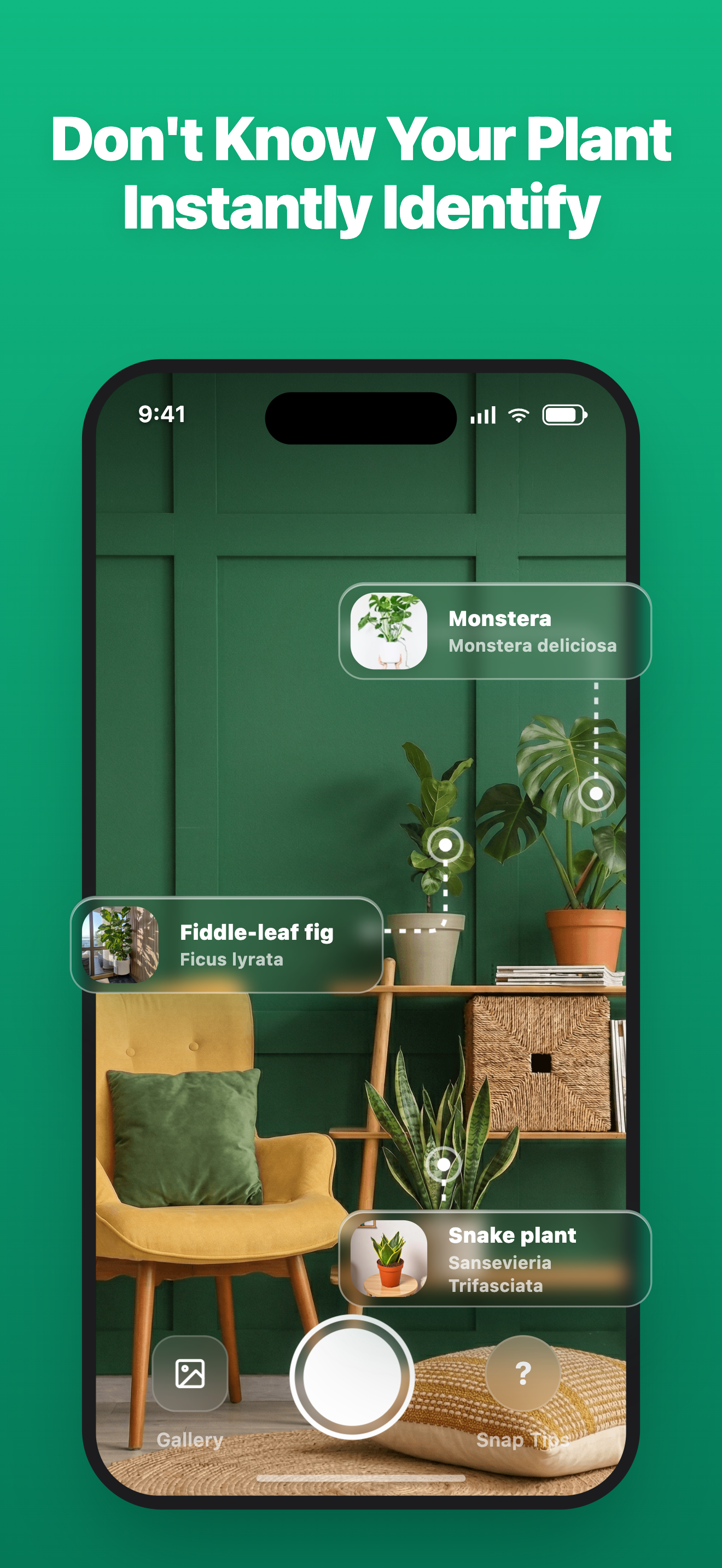 LivePlant : Plant Identifier