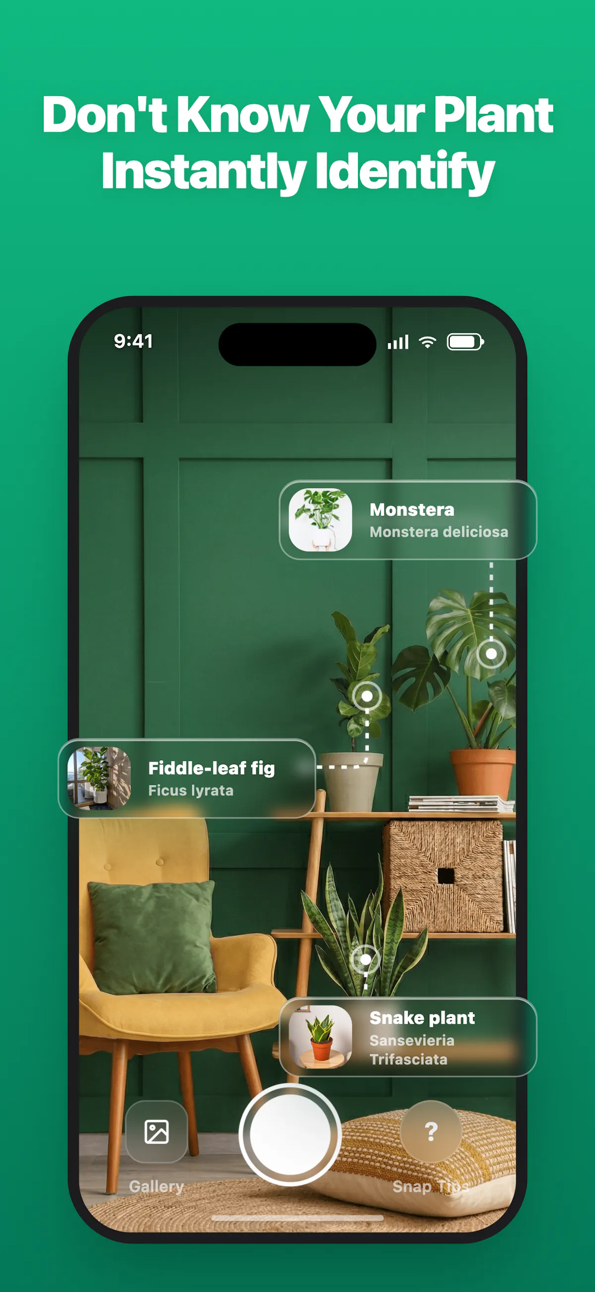 LivePlant : Plant Identifier