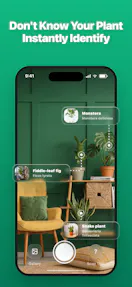 LivePlant : Plant Identifier
