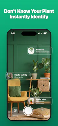 LivePlant : Plant Identifier