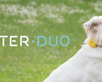 Findster Duo media 3