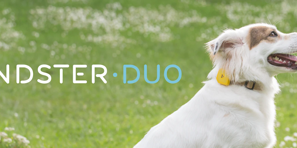 dog gps tracker without monthly fee