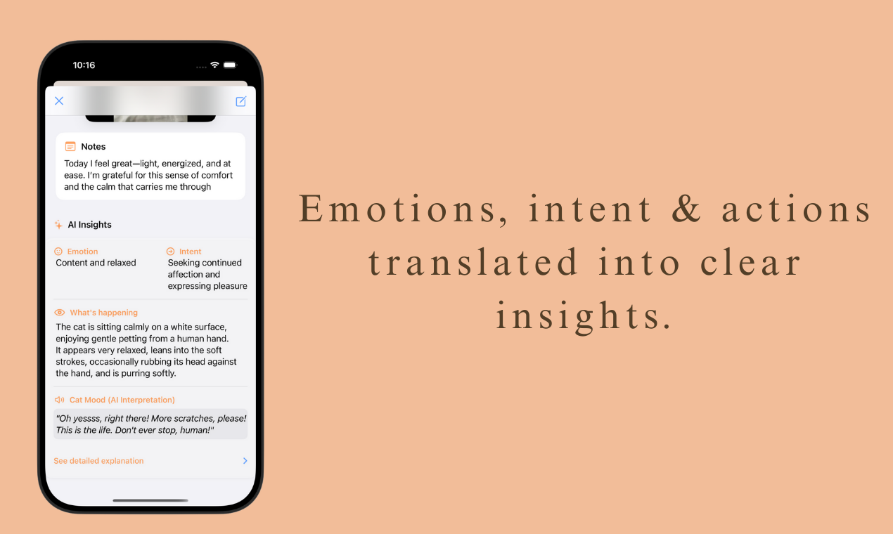 Meowow gallery image