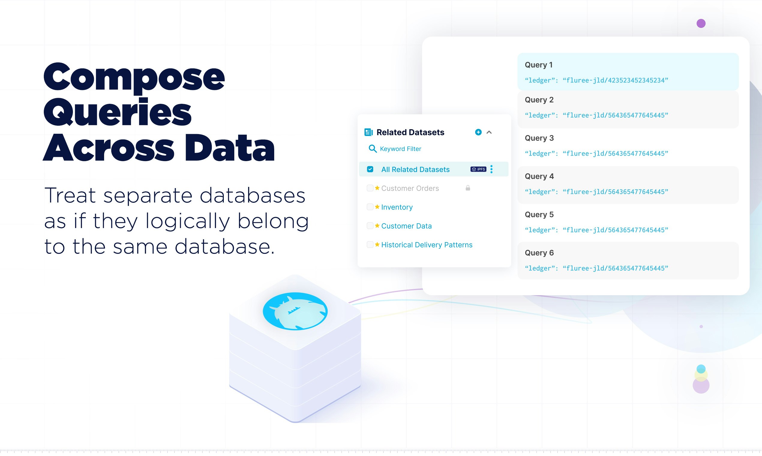 JSON-LD Database by Fluree media 3