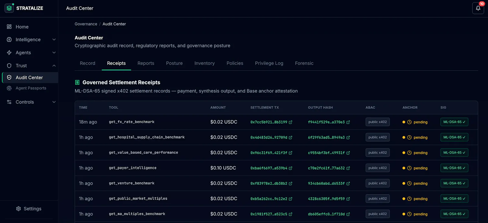Stratalize screenshot 2