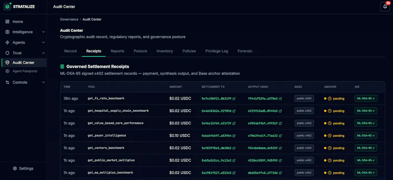 Stratalize screenshot 2