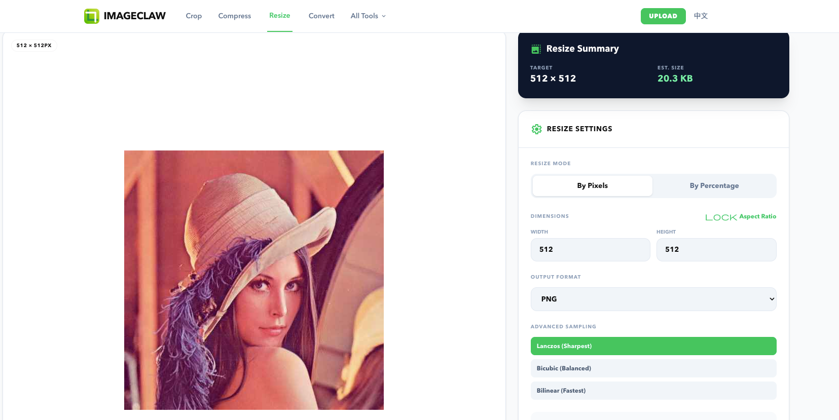 ImageClaw gallery image