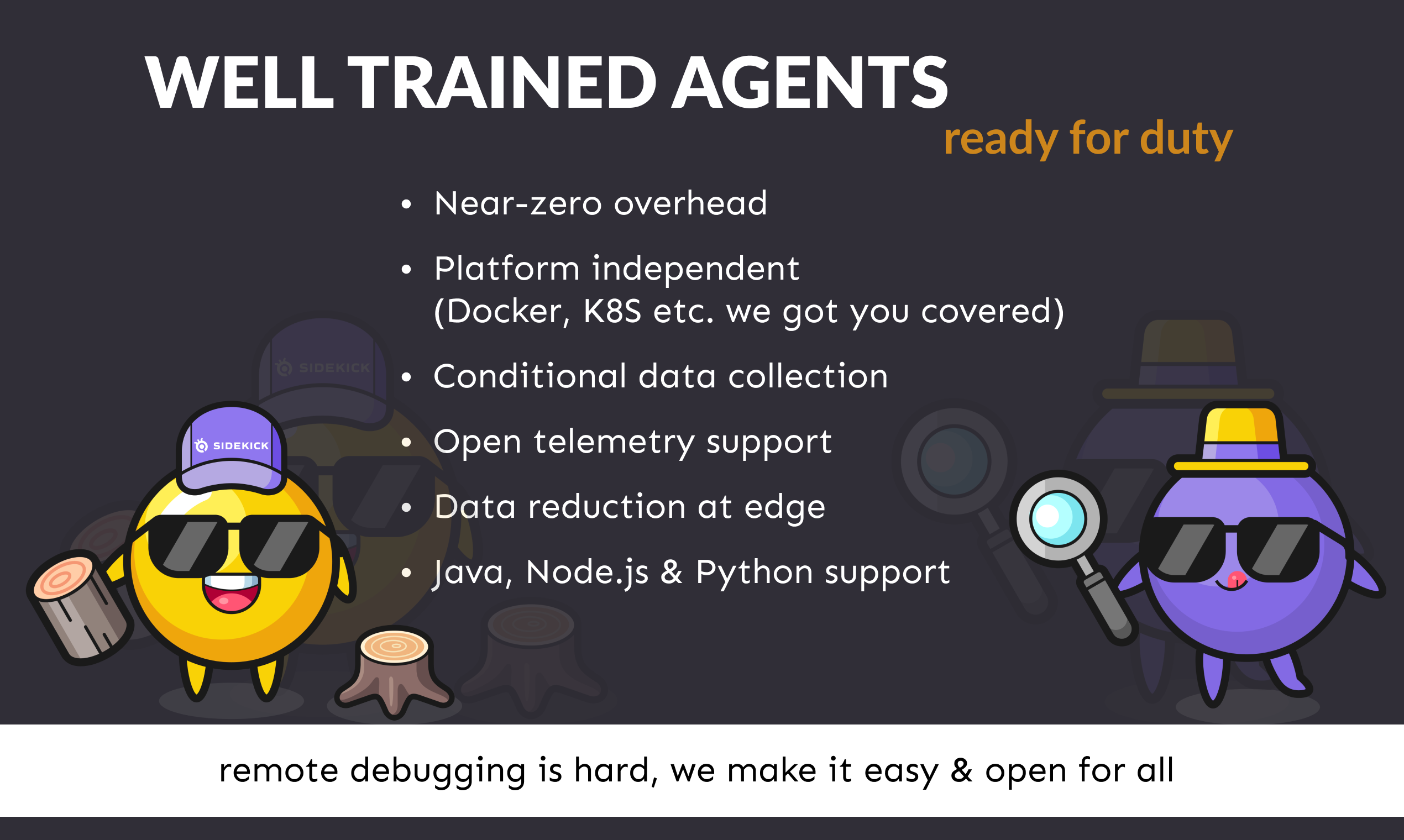 Sidekick gallery image