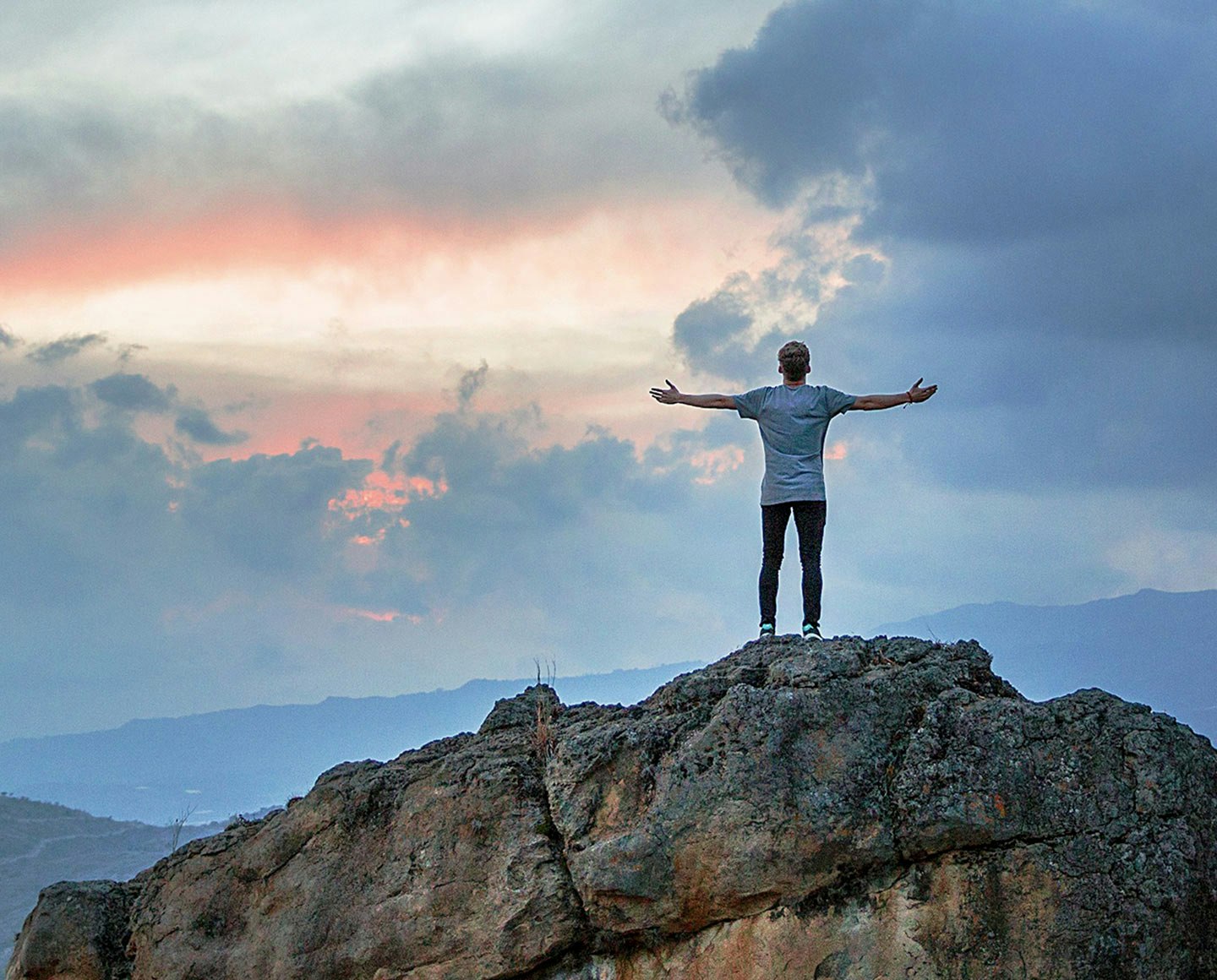 Eco Companion gallery image