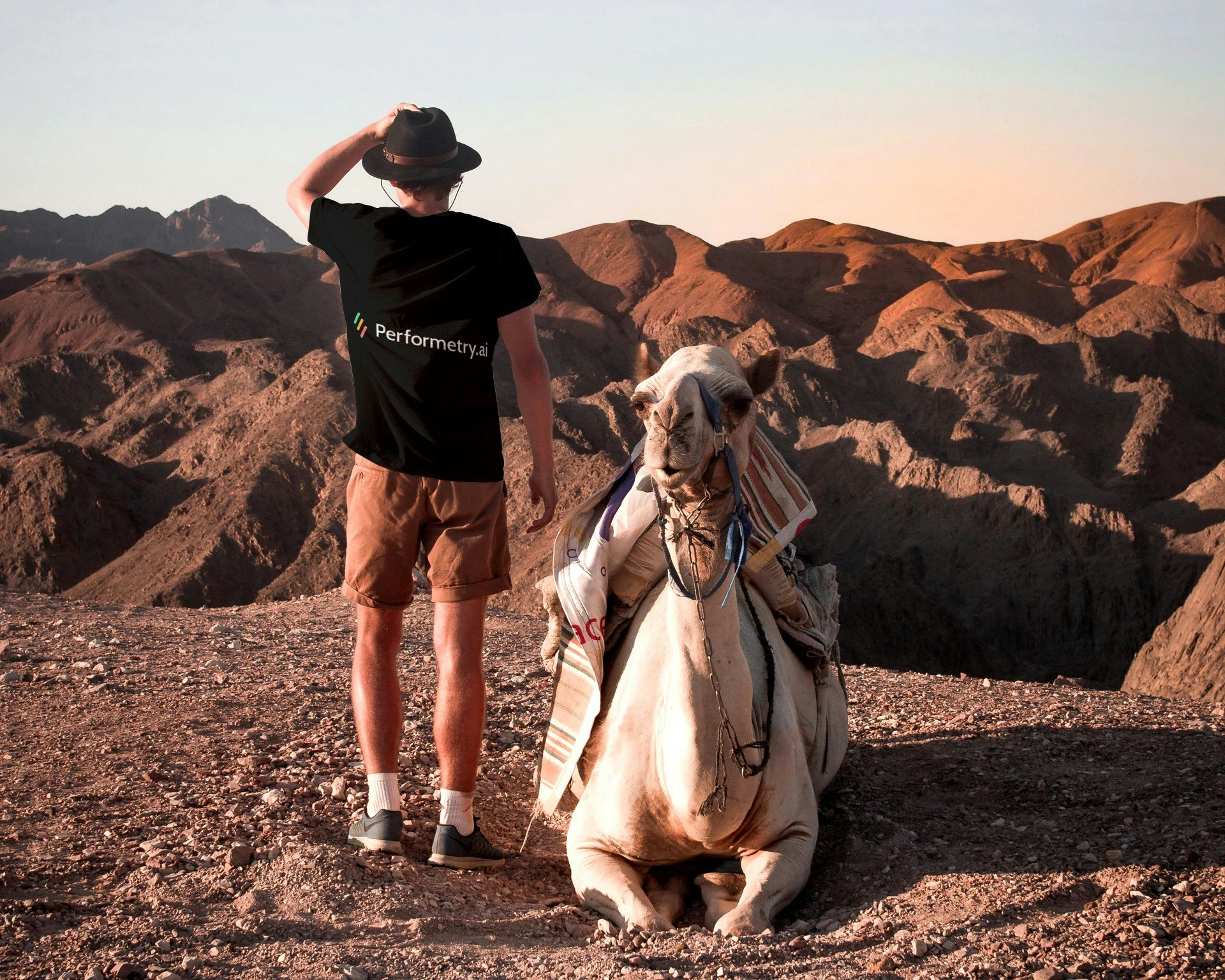 Performetry.ai (digital versus COVID-19) gallery image