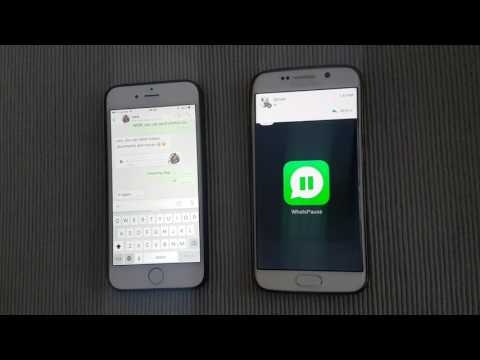 Whatspause to whatsapp gallery image