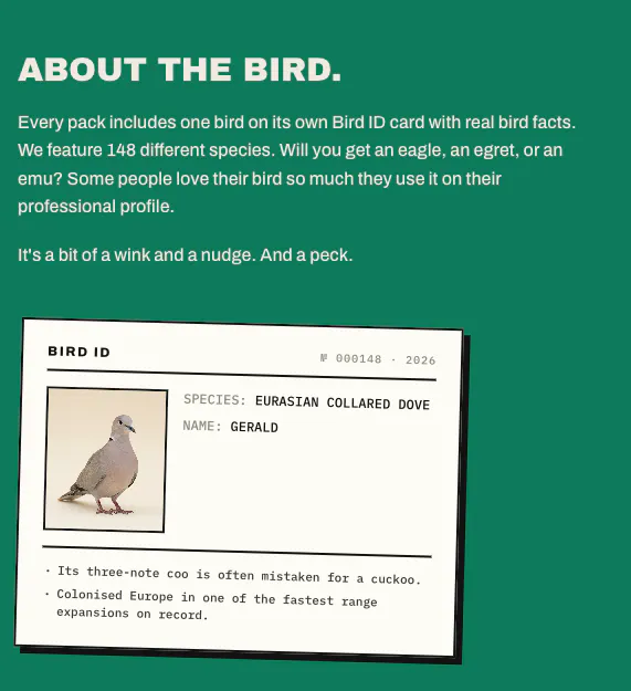 Headshots with a Bird gallery image