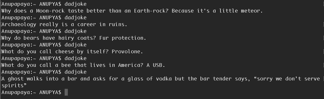 Dad Joke CLI Image