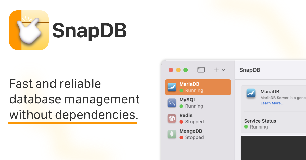 startuptile SnapDB-Dependency free database management for productive people.