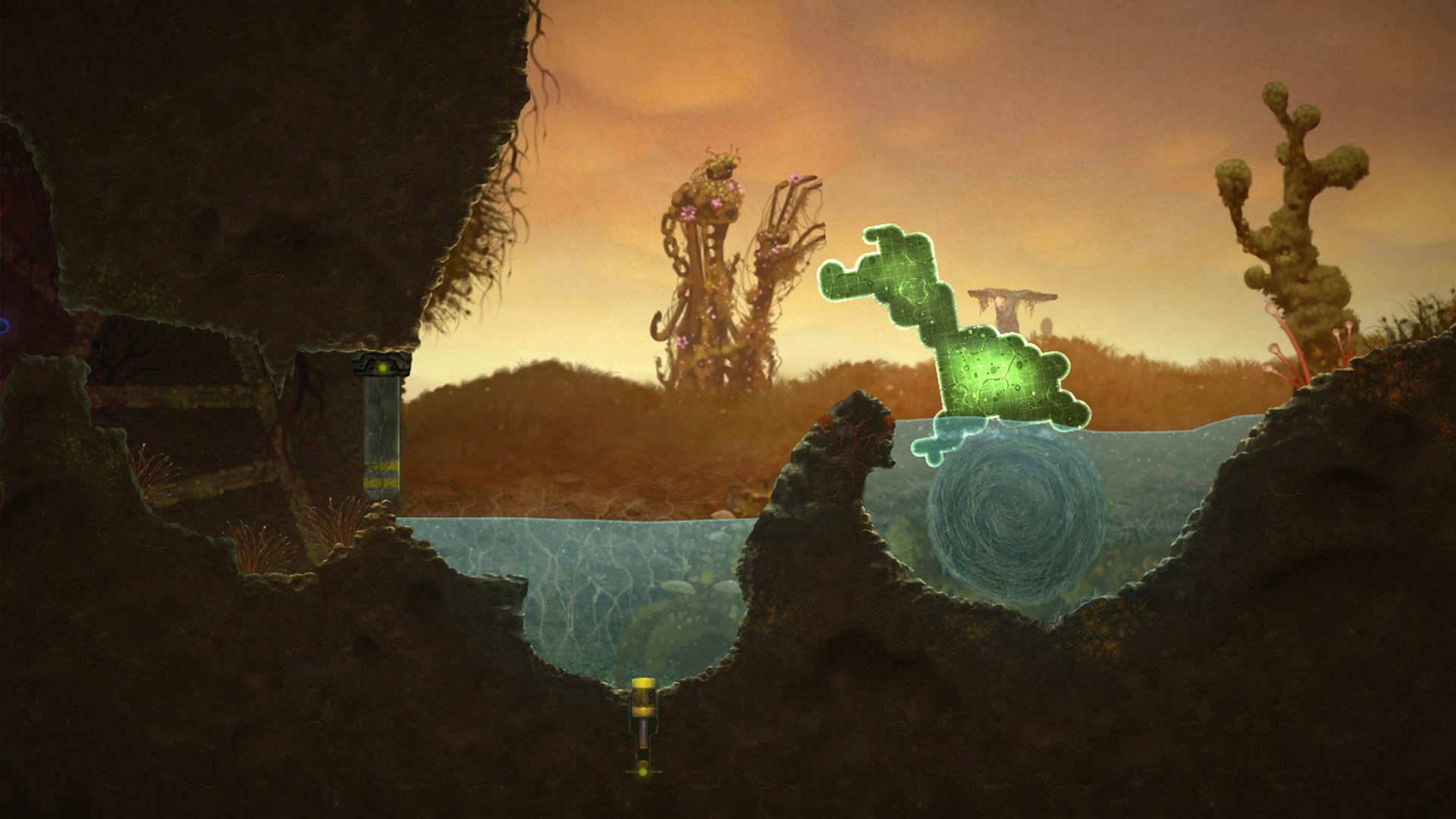 Mushroom 11 gallery image