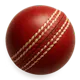 cricbet99