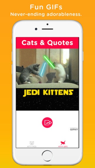 Cats & Quotes gallery image