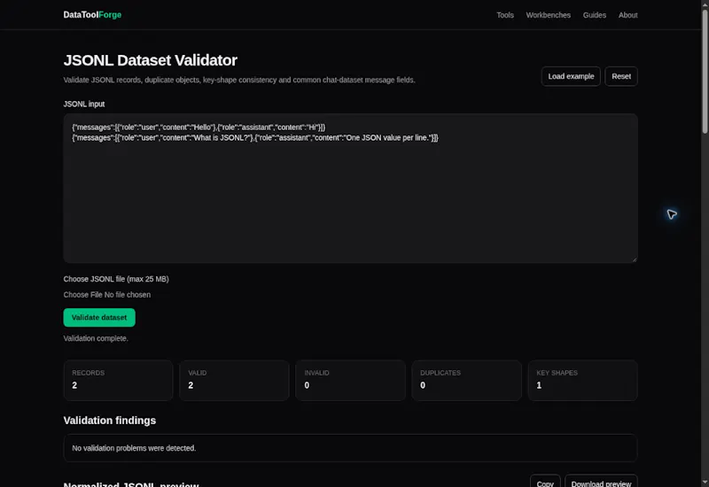 DataToolForge screenshot 4