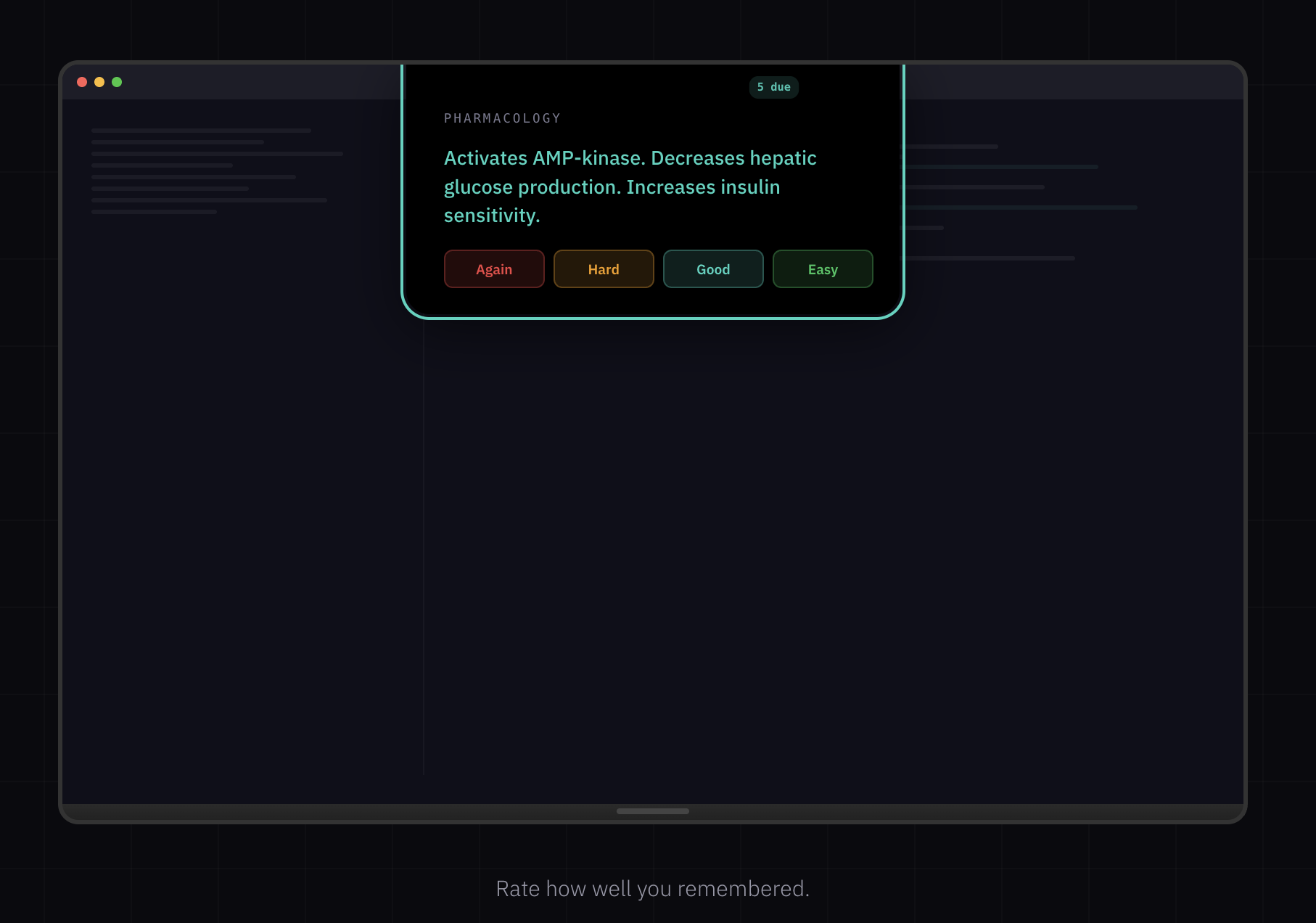 NotchWise gallery image