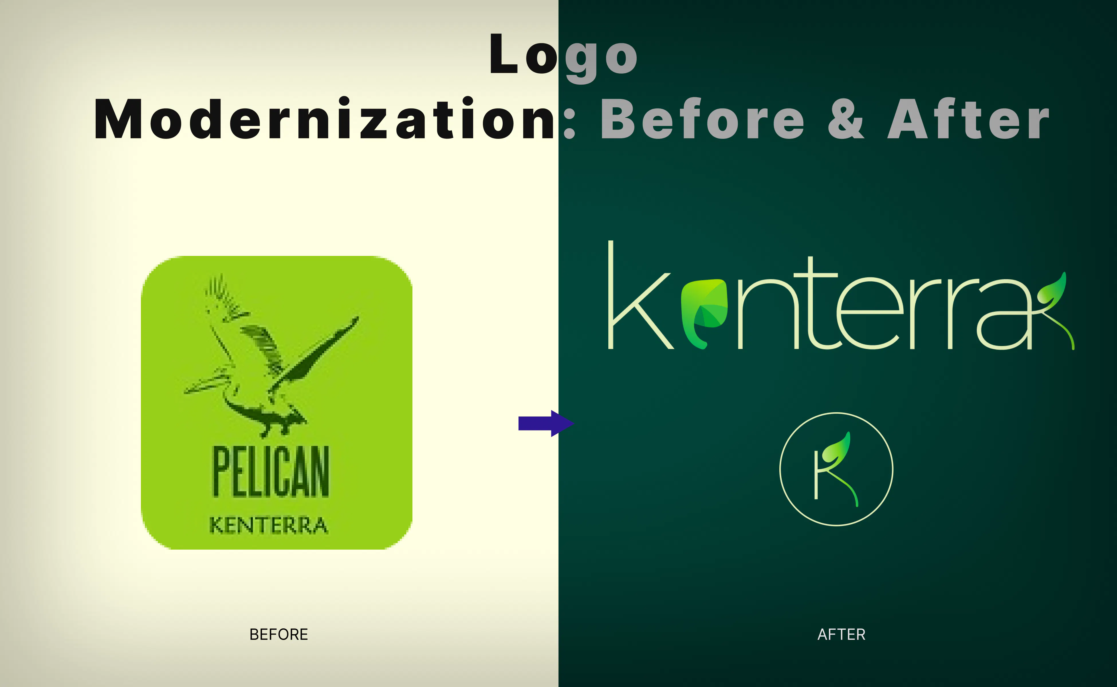 Branding & websites that drive growth gallery image