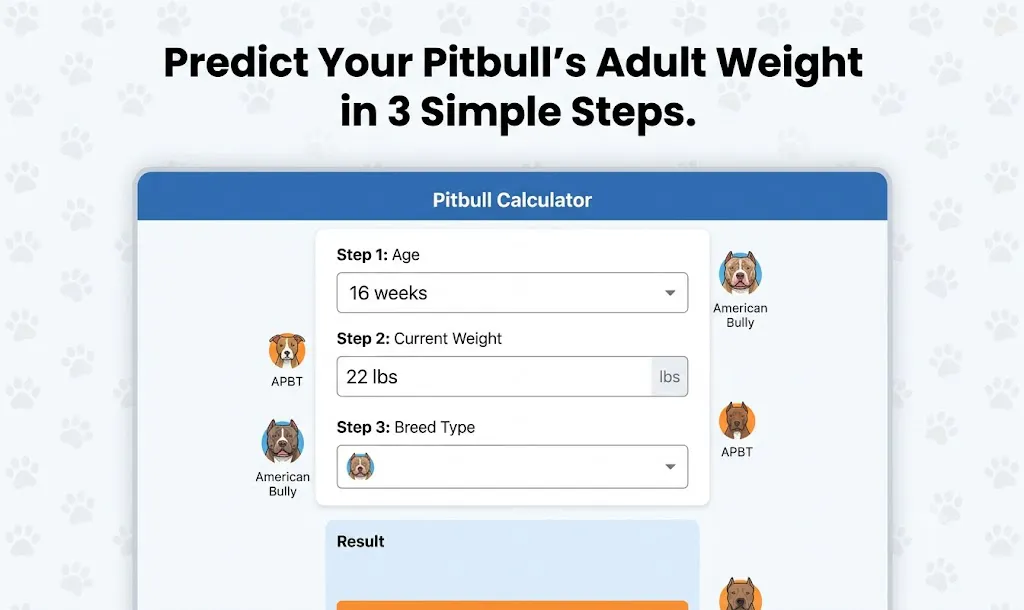 Pitbull  Calculator gallery image