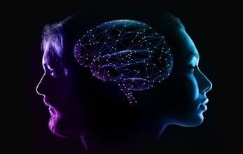 Wisdomise gallery image