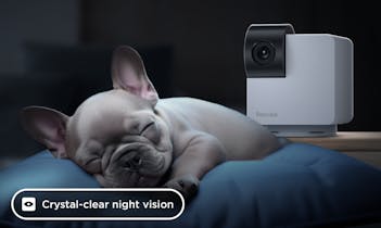 Monitoraggio 24 ore su 24 con capacità avanzata di visione notturna sulla nostra telecamera per animali domestici.