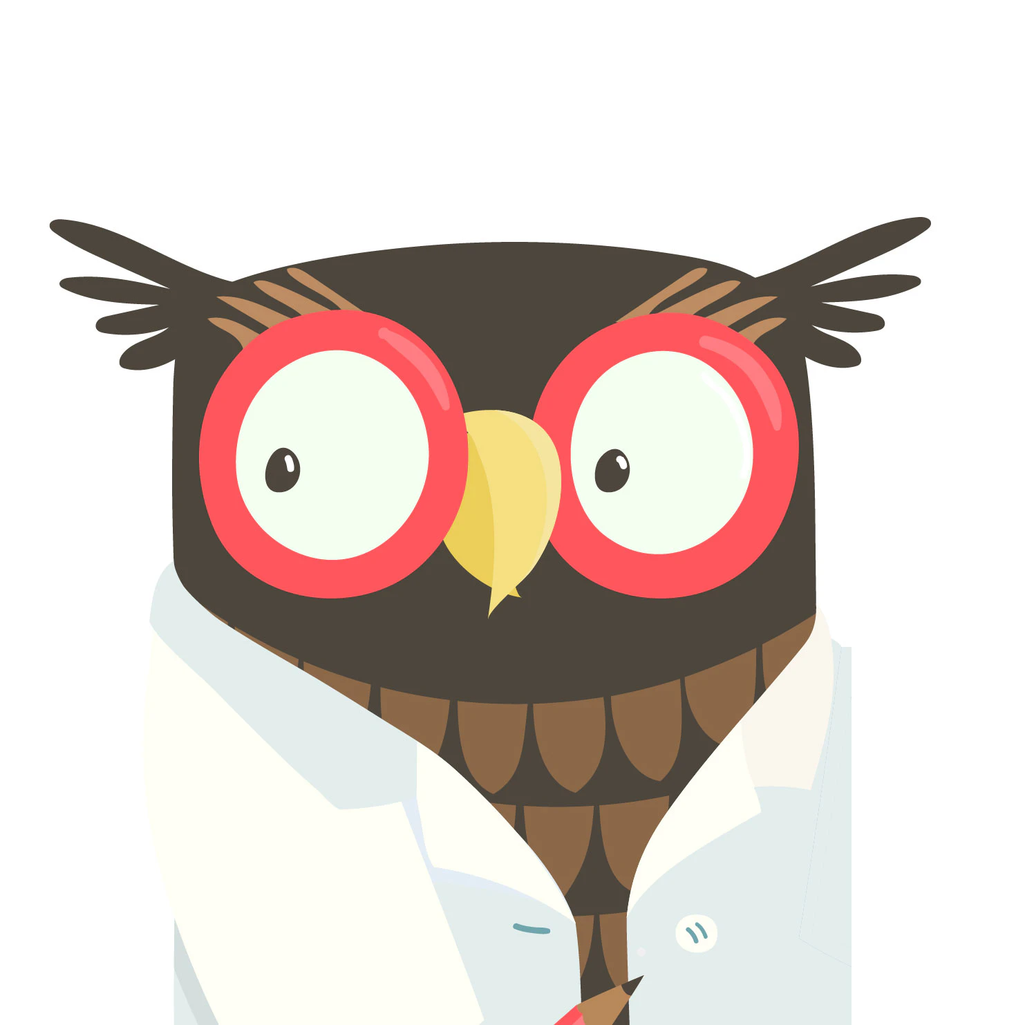 A Guide to Website Builders