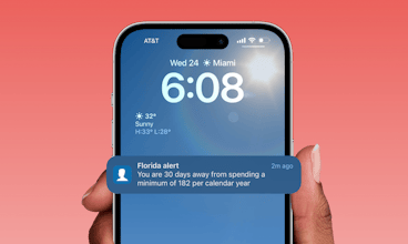 Sarmiza: Travel Days Tracker gallery image