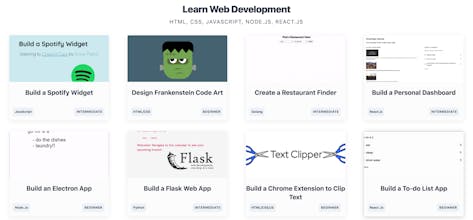 Enlight Cohorts gallery image