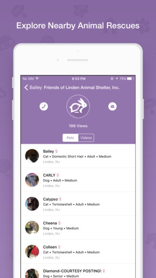 Gampets 2.0 gallery image
